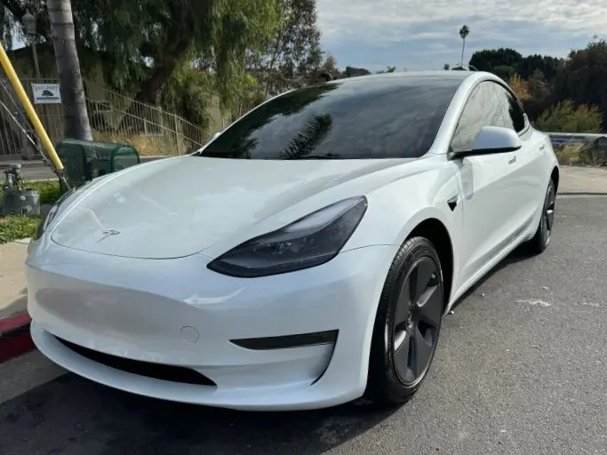 A white Tesla Model 3 is parked on the street near trees and a sidewalk on a clear day.